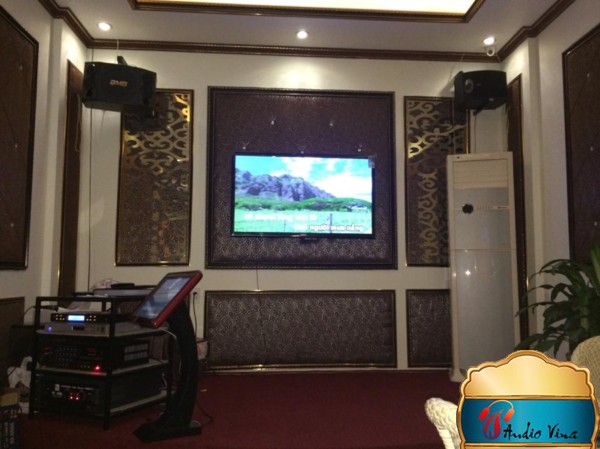 Bạn Có Nghĩ Rằng Việc Hư Hỏng Thường Xuyên Ở Dàn Karaoke Gia Đình Là Do Mình Không?