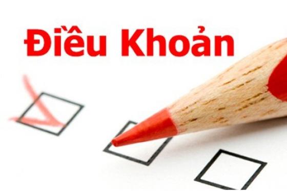 Điều kiện và Điều khoản thanh toán