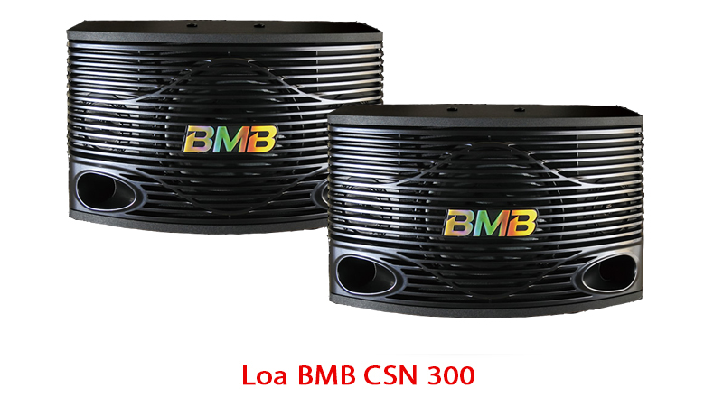 Loa BMB CSN 300 SE và sự khác biệt