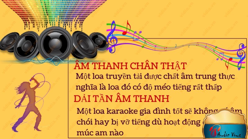 Đặc Điểm Nhận Dạng Loa Cho Dàn Karaoke Chất Lượng