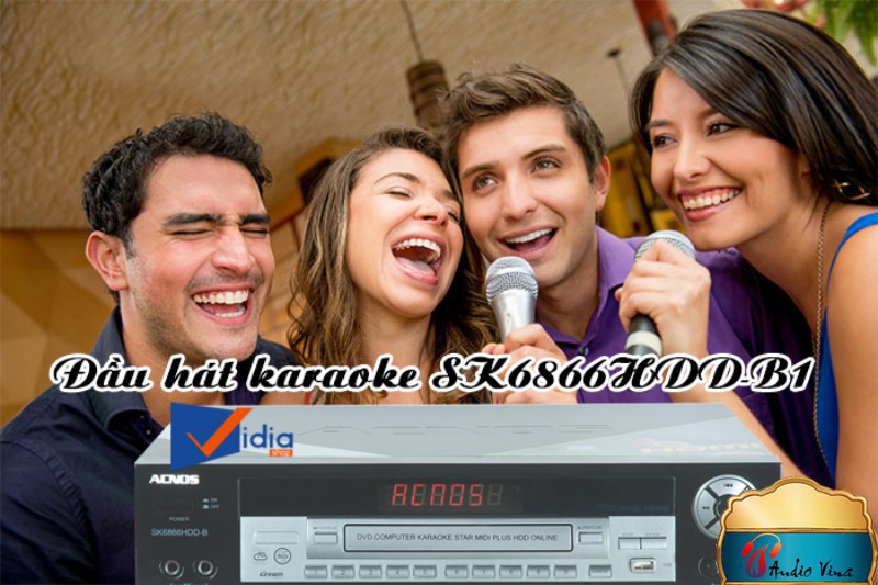 Chọn Đầu Karaoke Nào Chất Lượng Nhất Trên Thị Trường ACNOS SK6866HDD-B Được Không