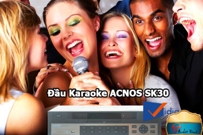 Đầu Đĩa Karaoke Vi Tính ACNOS SK30 