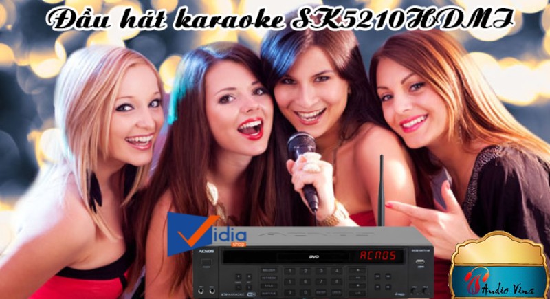 Đầu Hát Karaoke Hay Tại Sài Gòn ACNOS SK5810KTV