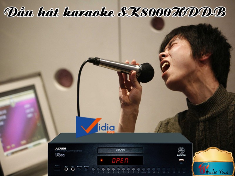 Đầu Hát Karaoke Hiện Đại Mua Ở Đâu ACNOS SK8000HDD-B