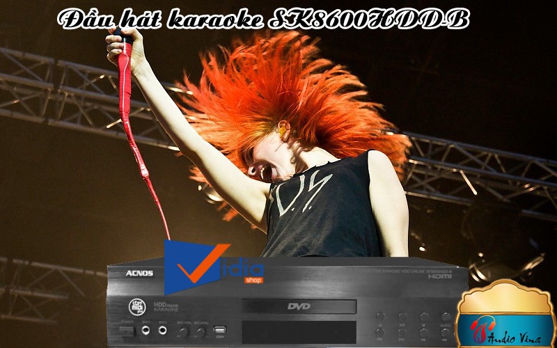 Đầu Hát Karaoke Ổ Cứng Tại HCM ACNOS SK8600HDD-B Lưu Trữ Thả Ga