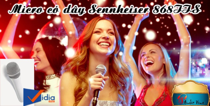 Mic Có Dây Hát Karaoke Hay Sennheiser 868II-S Chất Lượng Vượt Trội Giá Cạnh Tranh