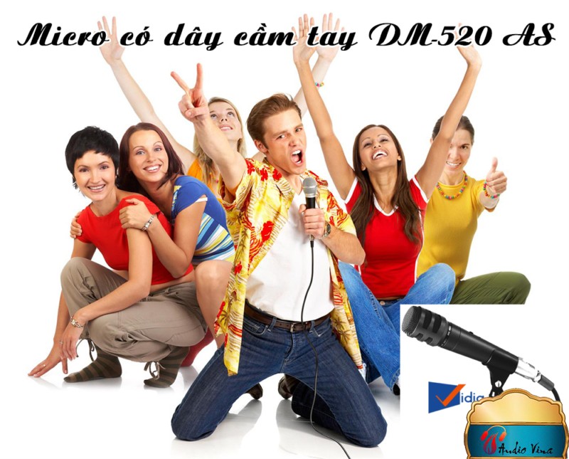 Micro Có Dây Cầm Tay Loại Tốt DM-520AS Nhỏ Gọn Tiện Dụng Chuyên Nghiệp Cho Bạn