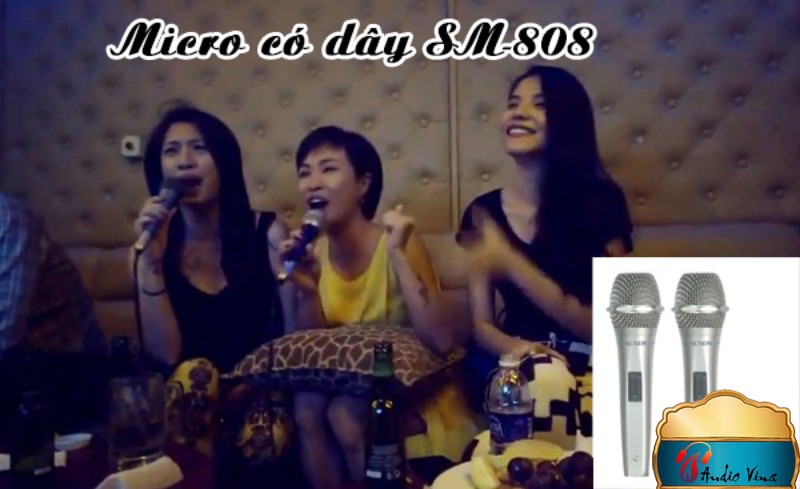 Micro Có Dây Giá Rẻ ACNOS SM-808 Thương Hiệu Cho Mọi Gia Đình