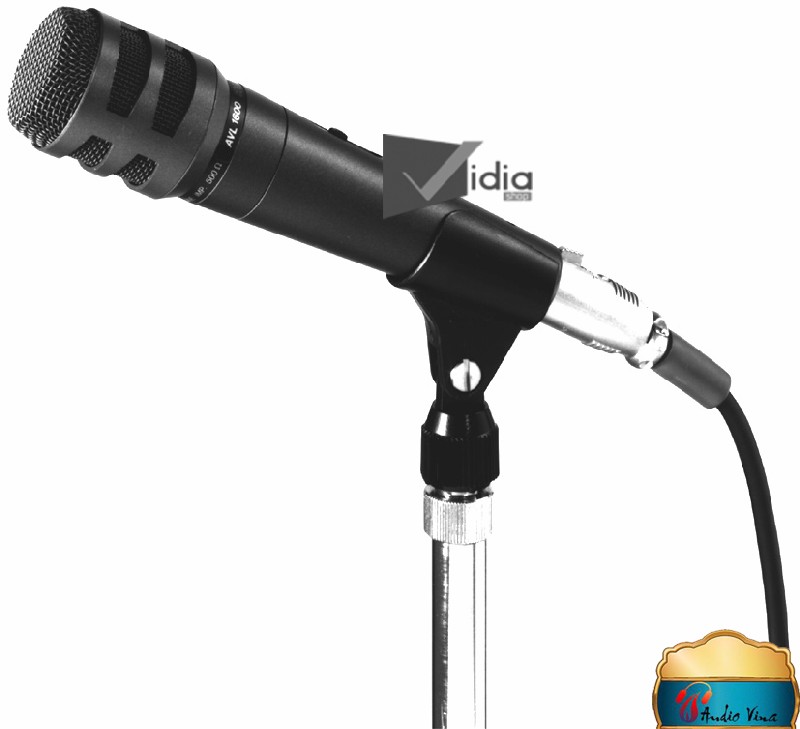 Micro Hát Karaoke Tầm Trung DM-1200 Phong Cách Chuyên Nghiệp Cho Bạn