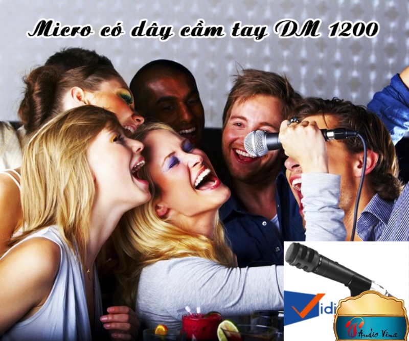 Micro Hát Karaoke Tầm Trung DM-1200 Phong Cách Chuyên Nghiệp Cho Bạn