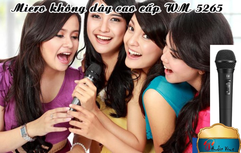 Micro Không Dây Chống Hú WM-5265 Chuyên Dụng Cho Karaoke Và Sân Khấu