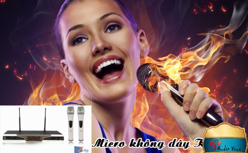 Micro Không Dây Hát Karaoke Hay K-302D+ BFAUDIO Chất Lượng Bởi Thương Hiệu BFAUDIO