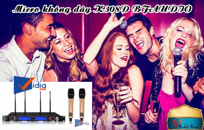 Micro Không Dây Tốt K-308D+ BFAUDIO Chất Lượng Được Khẳng Định Rõ Ràng