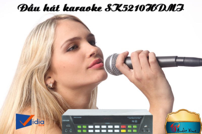 Nơi Cung Cấp Đầu Karaoke Giá Rẻ SK5210HDMI