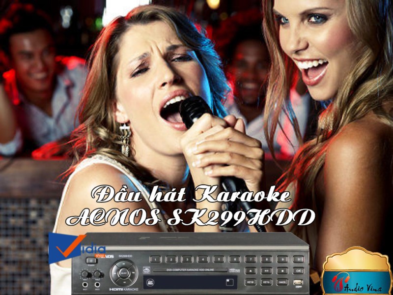 SK299HDD Đầu Karaoke DVD Tích Hợp HDD 