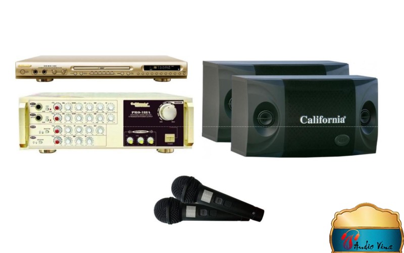 Đầu Karaoke CALIFORNIA chất lượng trong bộ dàn hát karaoke gia đình