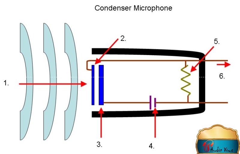 Cấu tạo micro karaoke loại điện dung (Condenser)