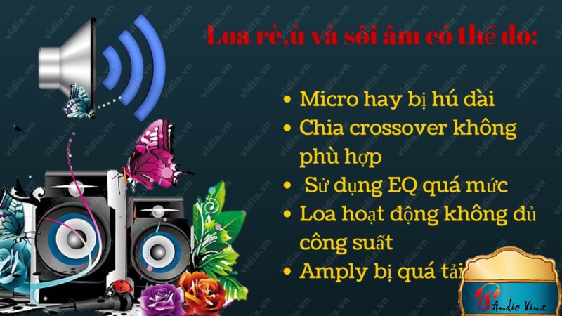 Vì Sao Loa Trong Bộ Dàn Karaoke Nhà Bạn hay Gặp Sự Cố